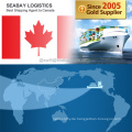 Ningbo Professional Ocean Freight Forwarder nach Montreal